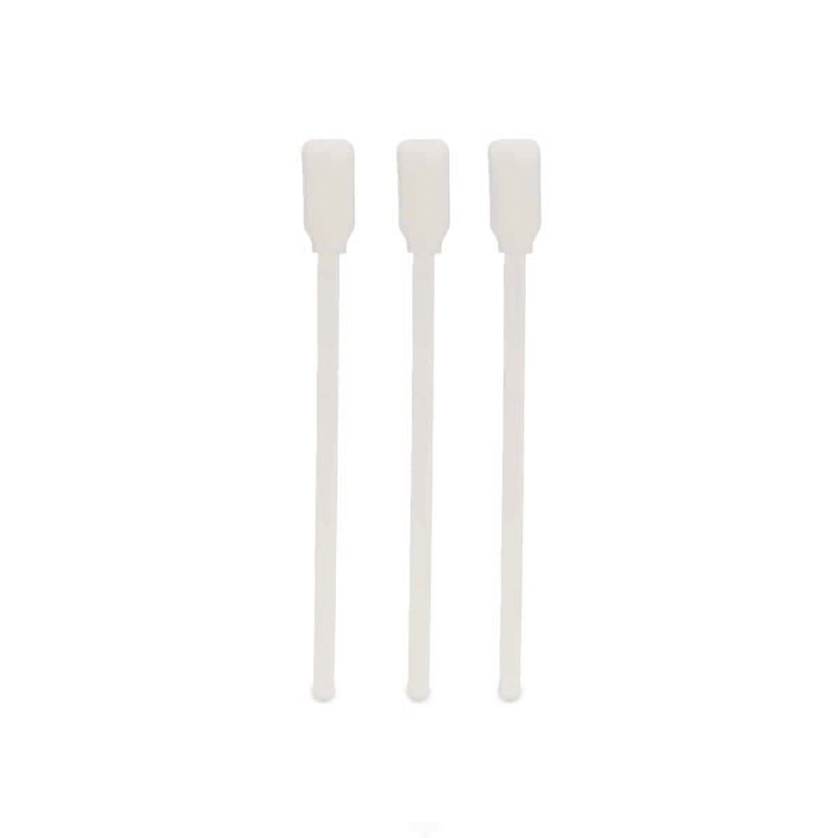 Walker Tape - Sponge Brushes One Size 5" - Dozen